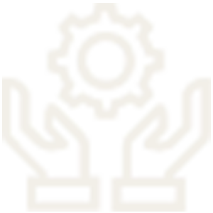 Mobile-Friendly Design